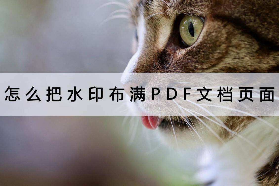 手机微博水印怎么设置:怎么把水印布满PDF文档页面？用它随意设置