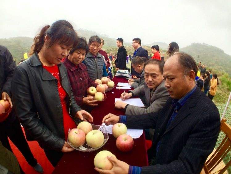 盐源县苹果镇新闻事件最新消息的简单介绍