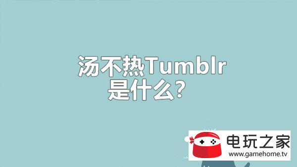 关于tumblr汤不热客户端的信息