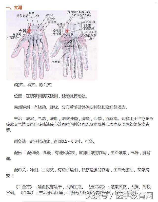 子午流注苹果版app灵龟八法子午流注盘电子版