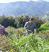 金牛贷苹果版金牛易付苹果下载-第2张图片-太平洋在线下载