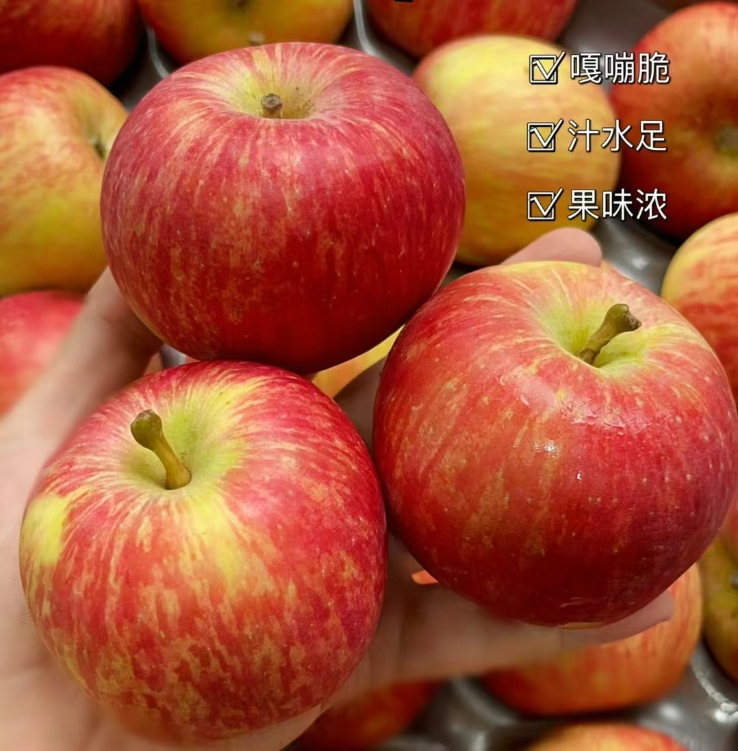 小苹果坚强版小苹果简谱歌谱